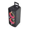 F&D PA300 100 W Bluetooth Party Speaker