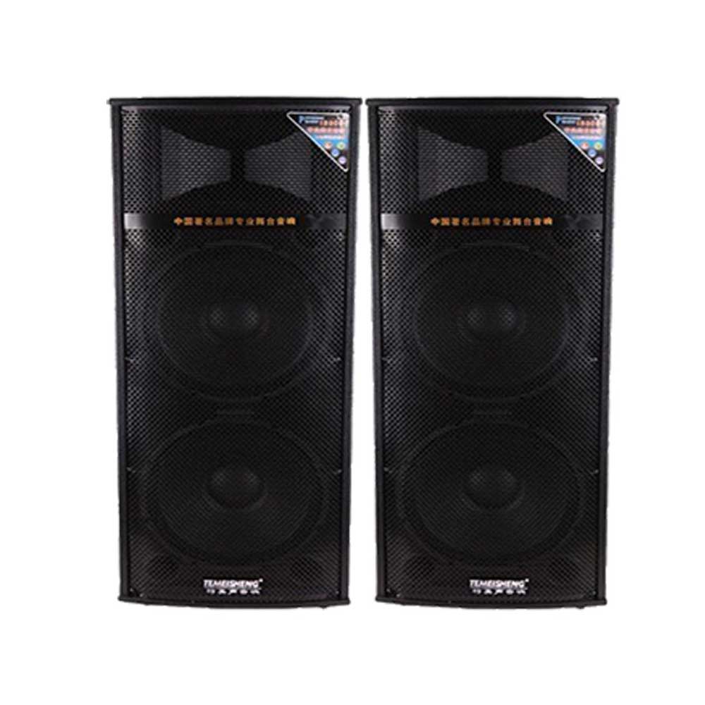 Temeisheng DP 128T Speaker With 2 Wirless Mic