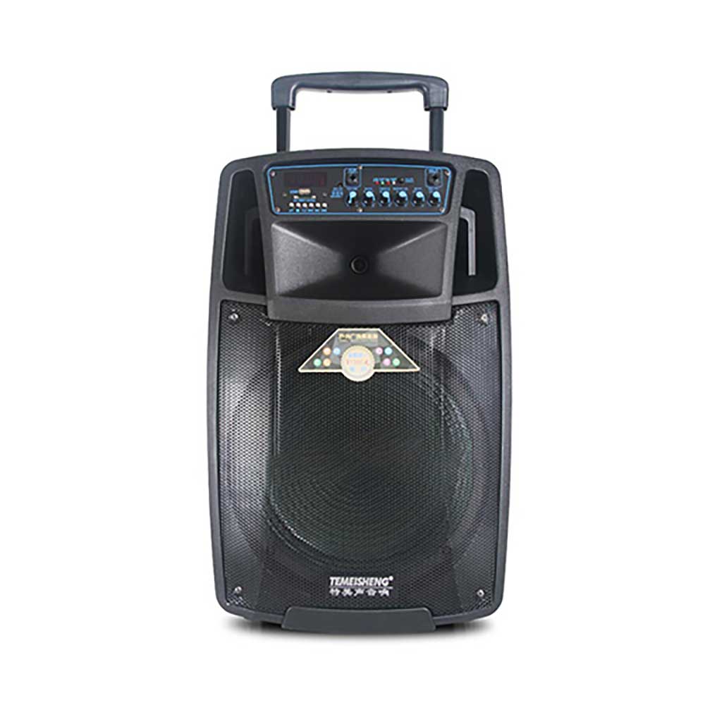 Temeisheng SL 12 01 Trolley Speaker