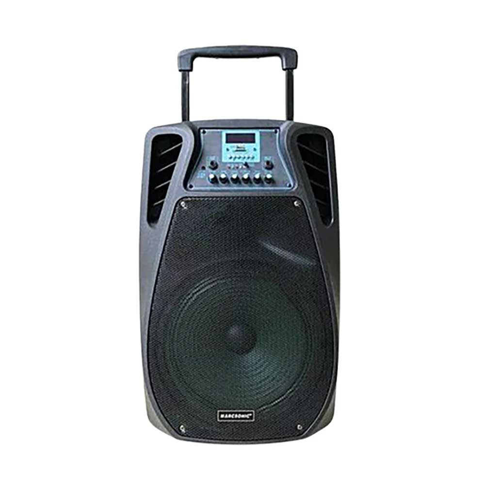 Temeisheng SL 12 02 Trolley Speaker