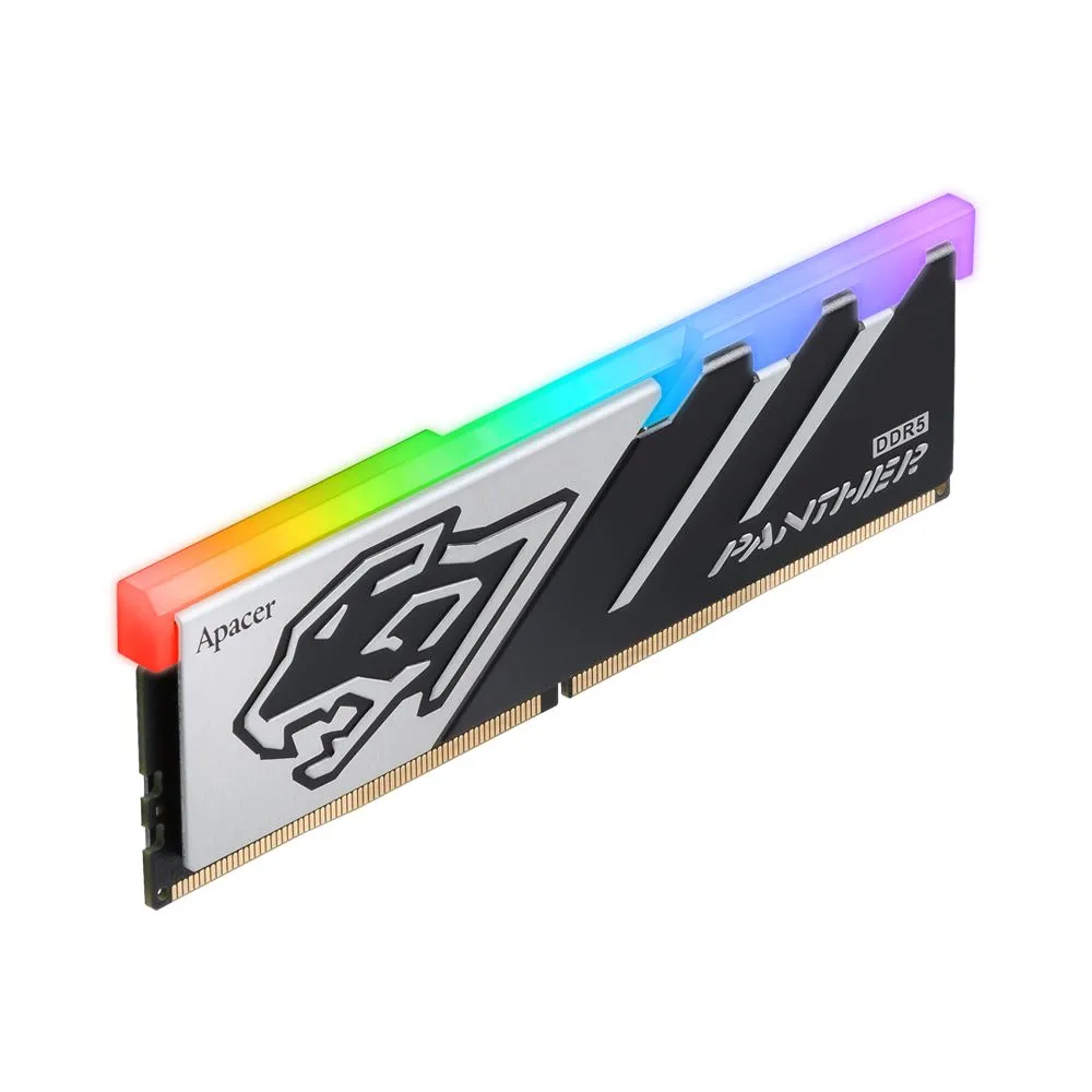 Panther_RGB_DDR5_02