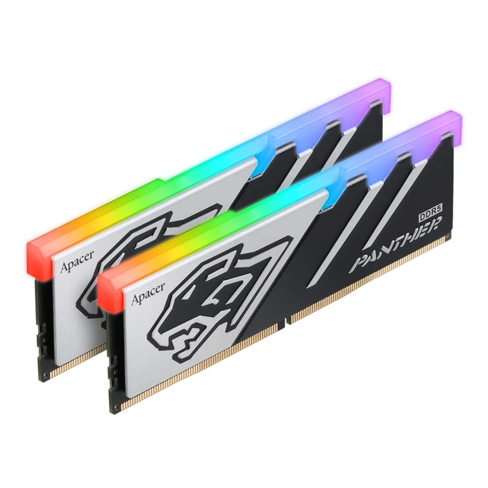 Panther_RGB_DDR5_04